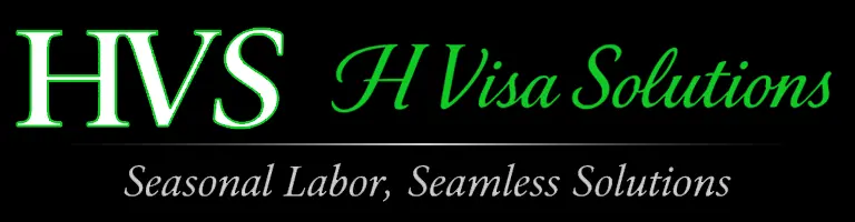 H-Visa Solutions